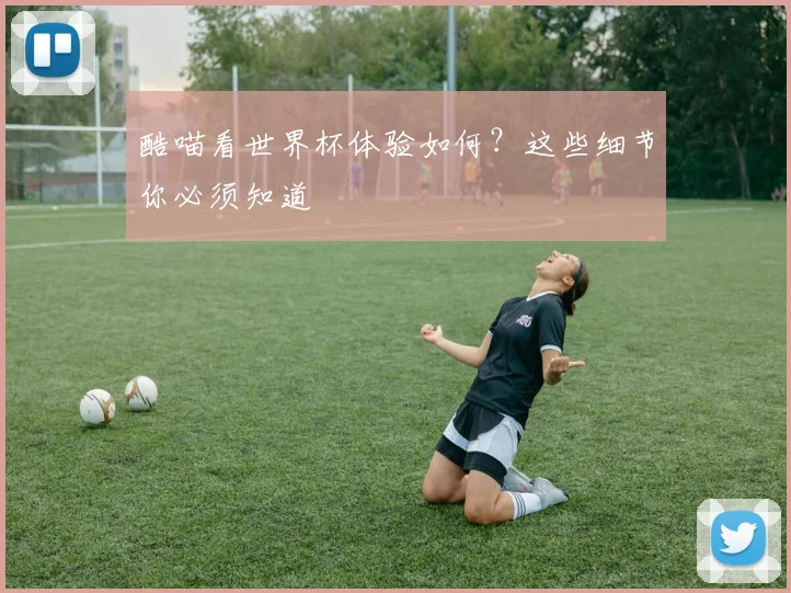 酷喵看世界杯体验如何?这些细节你必须知道