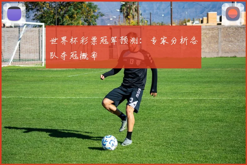 世界杯彩票冠军预测:专家分析各队夺冠概率