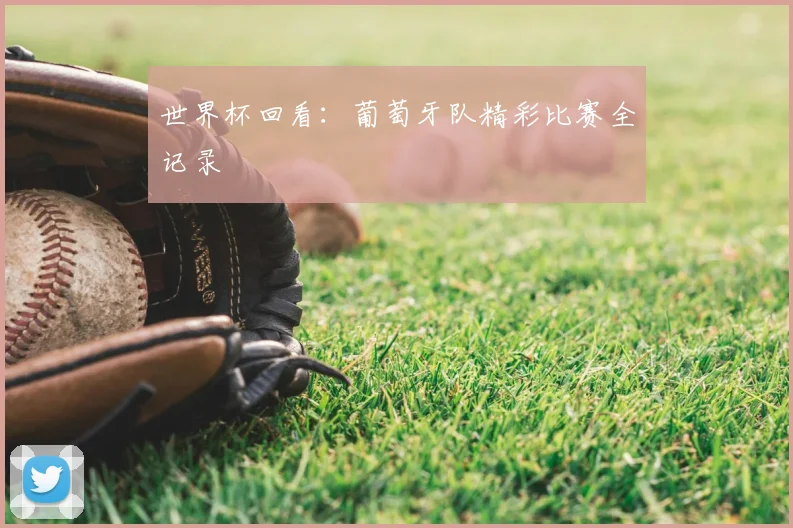 世界杯回看:葡萄牙队精彩比赛全记录