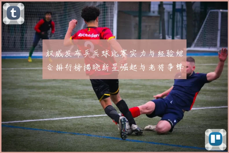 权威发布乒乓球比赛实力与经验综合排行榜揭晓新星崛起与老将争锋