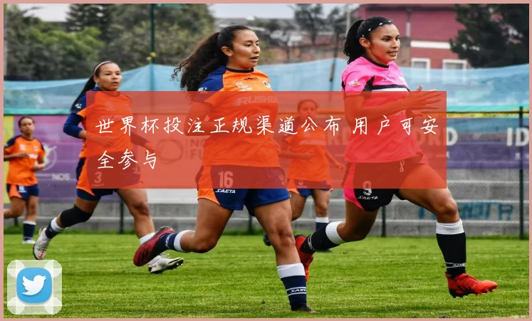 世界杯投注正规渠道公布 用户可安全参与