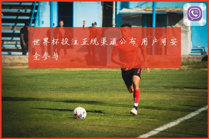世界杯投注正规渠道公布 用户可安全参与