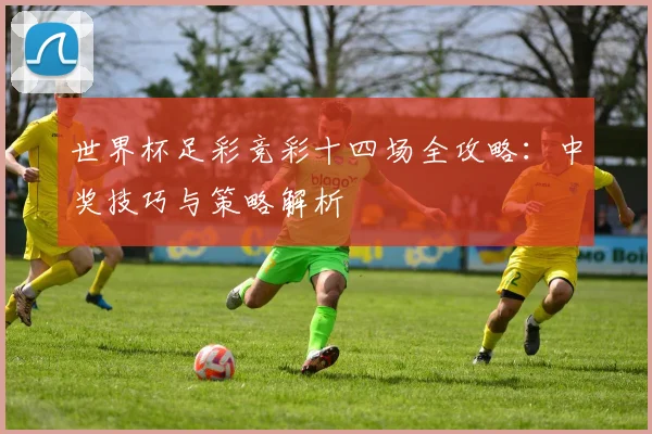 世界杯足彩竞彩十四场全攻略:中奖技巧与策略解析