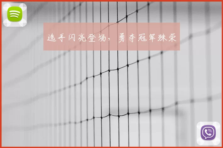 选手闪亮登场，勇夺冠军殊荣