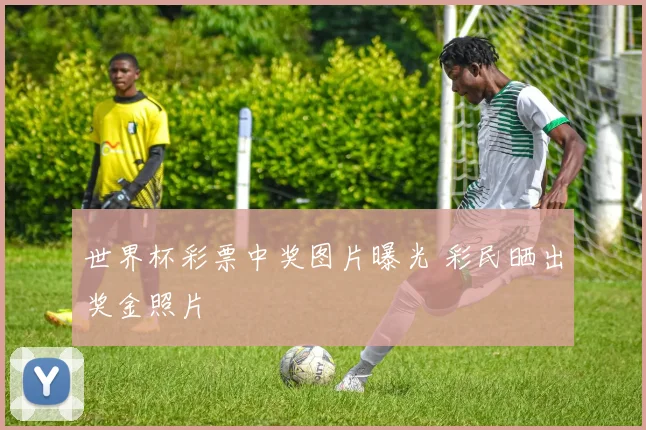 世界杯彩票中奖图片曝光 彩民晒出奖金照片