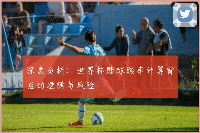 深度分析:世界杯赌球赔率计算背后的逻辑与风险
