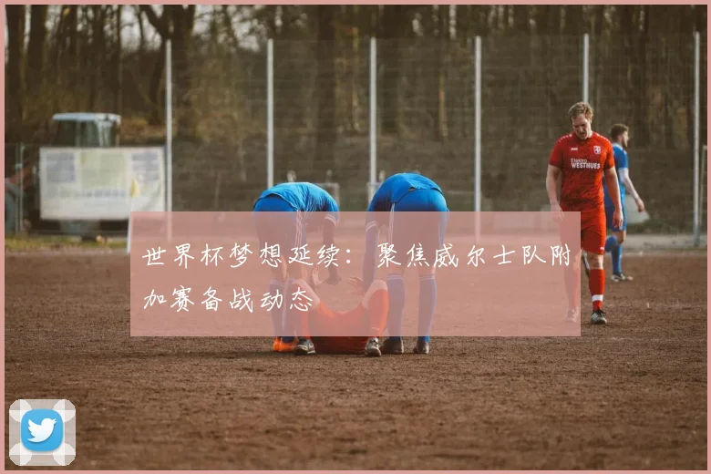 世界杯梦想延续:聚焦威尔士队附加赛备战动态