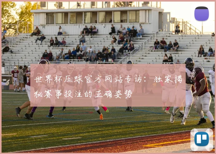 世界杯压球官方网站专访:独家揭秘赛事投注的正确姿势