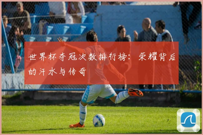 世界杯夺冠次数排行榜:荣耀背后的汗水与传奇