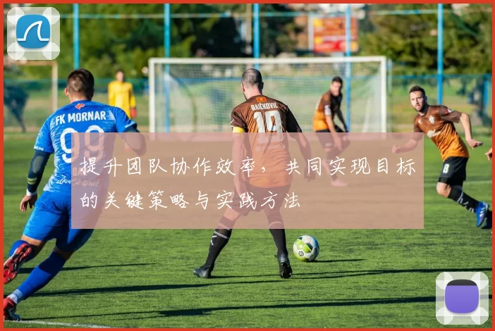 提升团队协作效率，共同实现目标的关键策略与实践方法